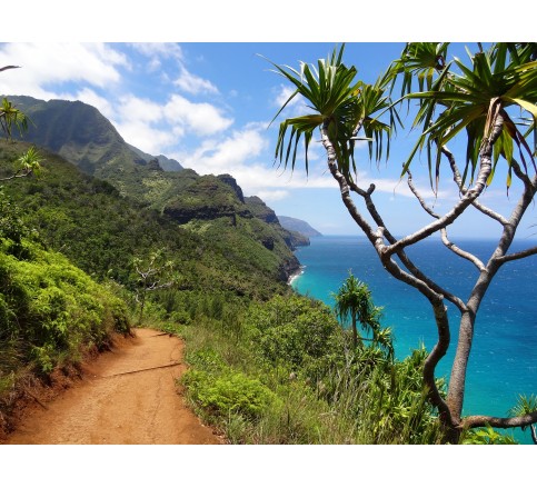 Treking Hawaii - Aloha