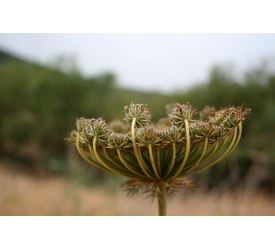 Treking Pantelleria in Palermo